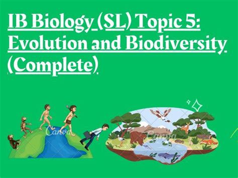 IB Biology SL Topic 5 Evolution And Biodiversity Complete