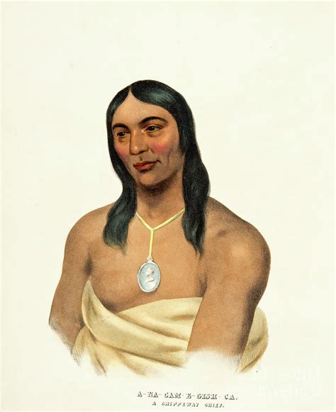 Anacamegishca A Chippeway Ojibwe Chief S3 Painting By Historic Illustrations Fine Art America