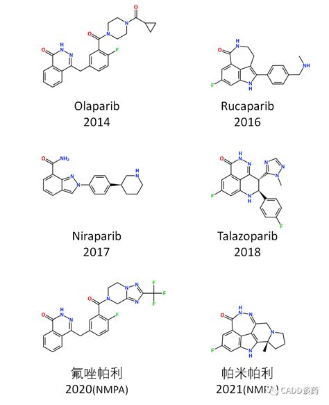 Parp抑制剂 杂谈 And 结合模式一览 药时代drugtimes