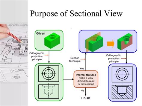 Sectional view | PPT