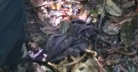 Rota Castanhal Ossada humana é encontrada na área de mata do Florestal