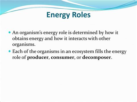 Energy Roles An Organisms Energy Role Is Determined By How It Obtains