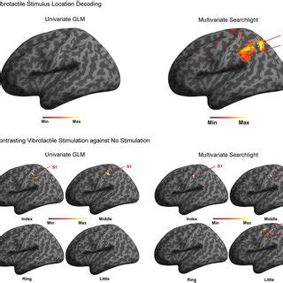 Decoding Accuracies Of Each Significant Cluster From Searchlight MVPA