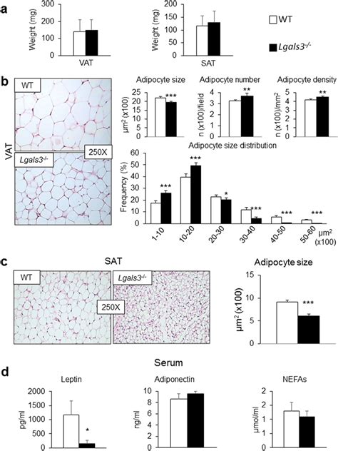 At Phenotype And Serum Levels Of Adipokines And Nefas In Wt And