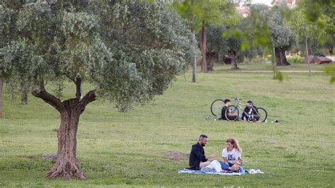 Urbanismo licitará en septiembre el nuevo acceso norte al parque de la