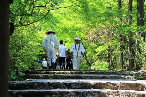 Il Cammino Degli Templi Km Sull Isola Shikoku In Giappone