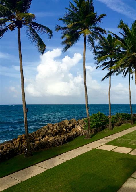 Condado Plaza Hilton, San Juan | Beautiful islands, Puerto rico, Island