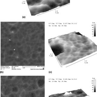 Comparison Of Sem And Afm Microstructure Of Mo C N Coatings On The Area