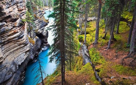 Nature Landscape River Canada Forest Grass Trees Cliff Rock Water