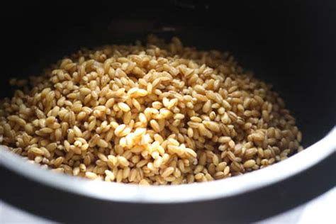 How To Cook Barley In A Rice Cooker THEKITCHENKNOW