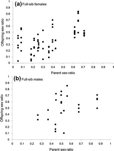 Relationship Between Brood Sex Ratio Of Parents And Brood Sex Ratio Of