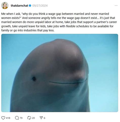 The Smiling Dolphin Meme Is Actually A Porpoise And He's Tired