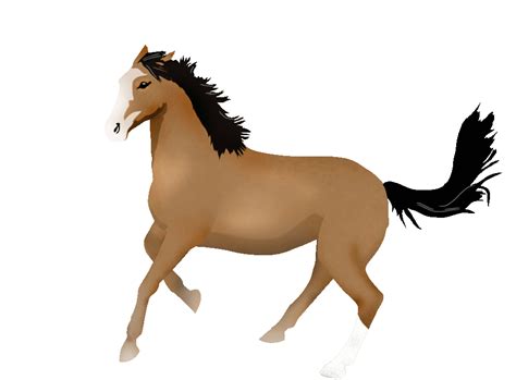 Galloping Horse Animated 