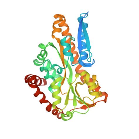 RCSB PDB 4MX6 Crystal Structure Of A Trap Periplasmic Solute Binding