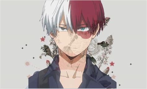 Todoroki Shōto Aesthetically pleasing icy hot My Hero Academia Amino