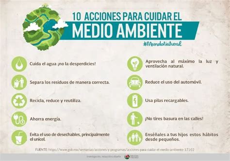 Día Mundial Del Medio Ambiente Acciones Cotidianas Para Reducir El Impacto Ambiental Todo