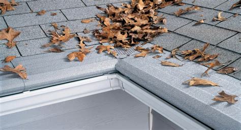 Top 3 Causes Of Overflowing Gutters And How To Fix Them