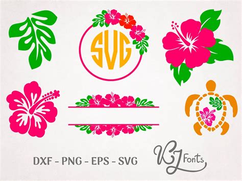 Hibiscus Svg Floral Svg Hibiscus Monogram Svg Tropical Print Svg Floral