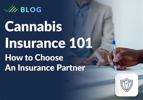 Cannabis Business Insurance How To Choose