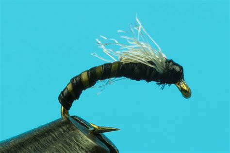 Juju Bee Midge Nymph Patterns — Big Y Fly Co