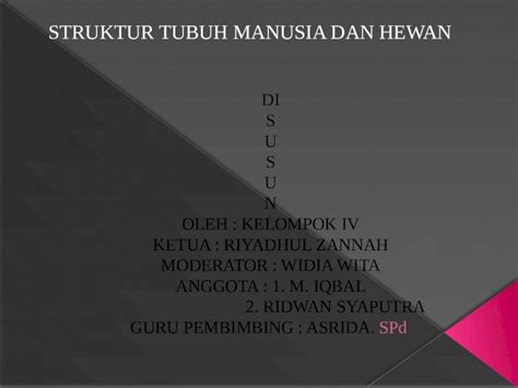 PPTX Struktur Tubuh Manusia Dan Hewan DOKUMEN TIPS