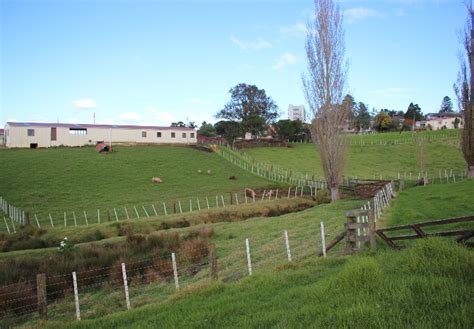 About The Farm Mount Albert Grammar School