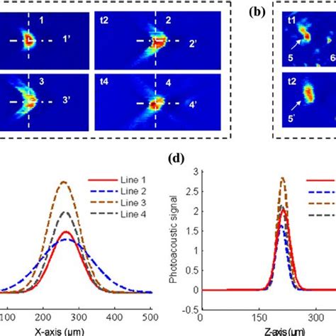 A Schematic Of The Photoacoustic System B C Scan Pam Con Cept