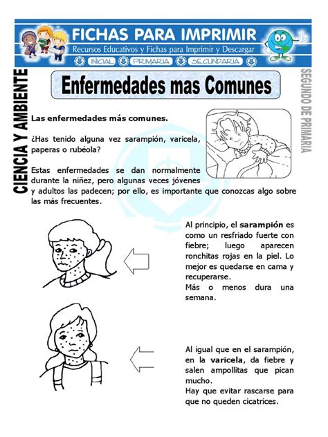 Ficha De Enfermedades Comunes Sarampión Medicina Prueba Gratuita