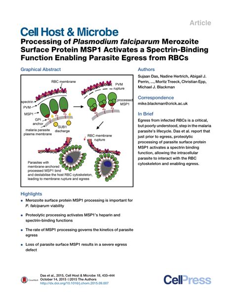 Pdf Processing Of Plasmodium Falciparum Merozoite Surface Protein Msp1 Activates A Spectrin