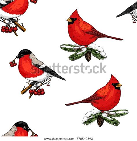 Red Birds Cartoon Images Stock Photos Vectors Shutterstock