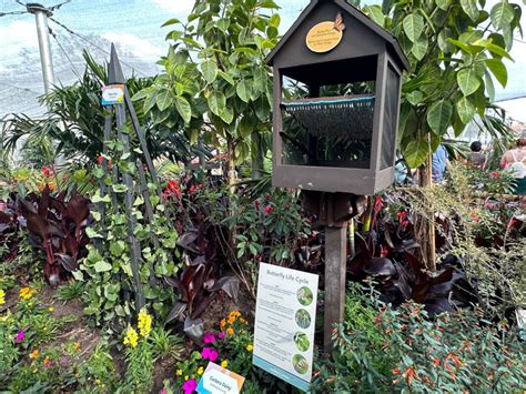 PHOTOS: All Global Gardens at EPCOT International Flower & Garden Festival 2023 - WDW News Today