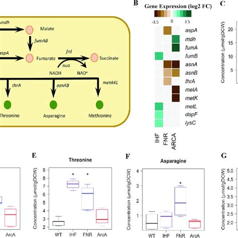 Integrated Transcriptomics And Metabolomics Analysis At Pep And