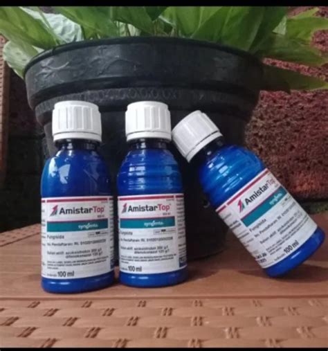 Amistar Top Sc Ml Fungisida Syngenta Amistar Top Lazada Indonesia