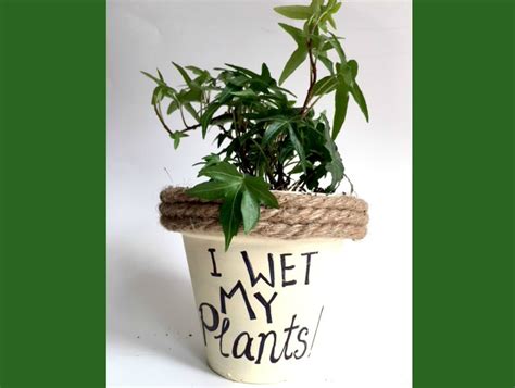 Plant Puns On Painted Potted Flower Pots Adorable Gift Idea To Make