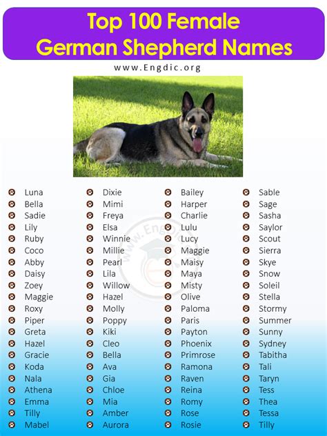 300+ Female German Shepherd Names (Most Popular) | Female german ...