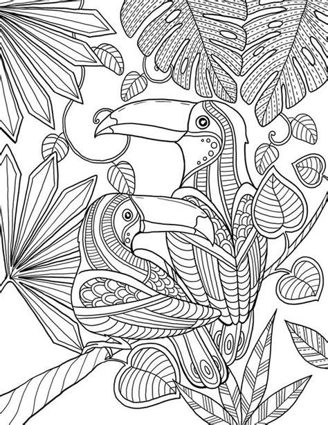 Toucan Coloring Page Livros De Colorir Para Adultos