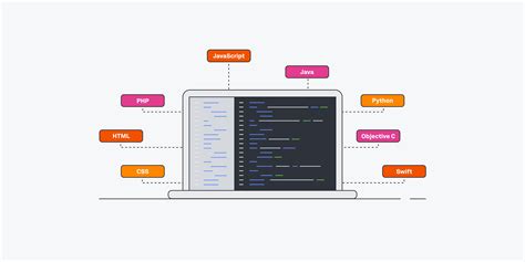 7 Programming Languages That UX Designers Should Know About In 2024