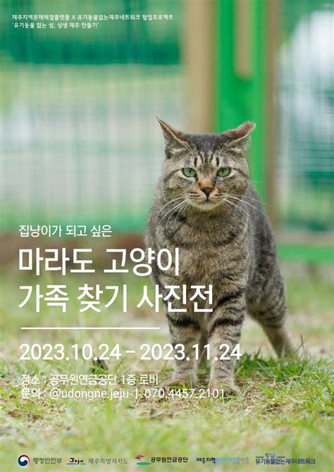 공무원연금공단 마라도 고양이 가족 찾기 사진전 개최 Dwbnews장애인복지뉴스