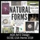 NATURAL FORMS Theme Mind Map Interactive Artist Links AQA GCSE ESA 2019