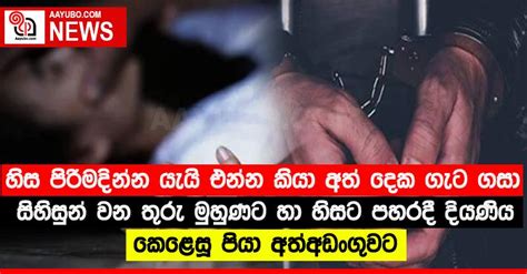 සෞඛ්‍ය පරීක්ෂකවරුන් 3000ක් උත්සව සමයේ වැටලීම් වලට