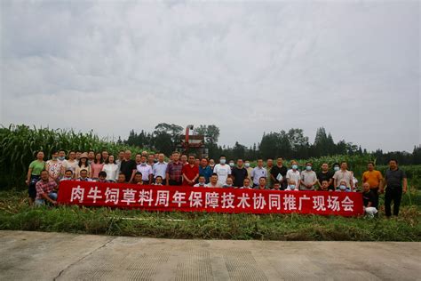 四川省农业科学院农业资源与环境研究所如何保障肉牛饲草料？土肥所饲草团队组织专家在洪雅示范县现场为百余人答疑