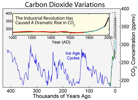 Elevated Carbon Dioxide Level And Plant Productivity Effect Of Co On