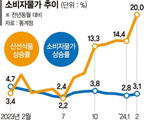 600억 투입해 농축수산물 가격 잡고 석유시장점검단 매주 가동 파이낸셜뉴스