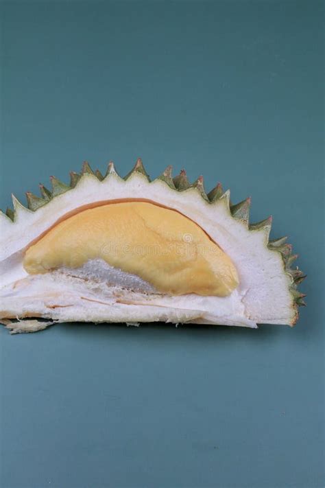 1 800 Durian Peel Stock Photos Free Royalty Free Stock Photos From