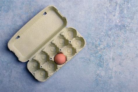 One Egg In The Carton Package Stock Image Image Of Organic Shell