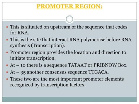 The structure & function of genes | PPT