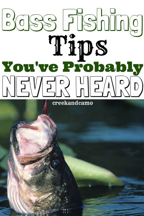 Bass Fishing Tips To Catch The Biggest Largemouth Of Your Life