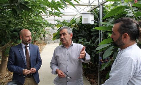 Jóvenes agricultores y ganaderos podrán realizar estancias formativas