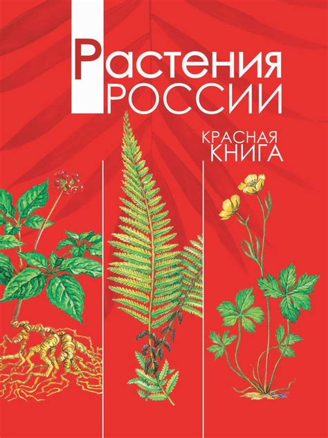 «Растения России. Красная книга», Александр Тихонов – скачать pdf на Литрес