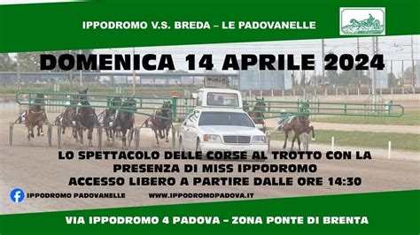 Ippodromo Padovanelle Corse Al Trotto Miss Ippodromo E Sfilata Dei